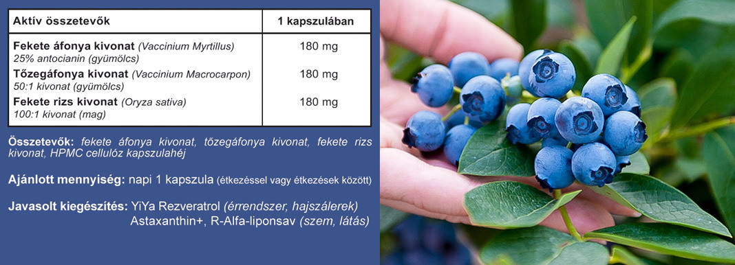 YiYa Fekete áfonya kivonat bogyós gyümölcsök kapszula tabletta összetétel
