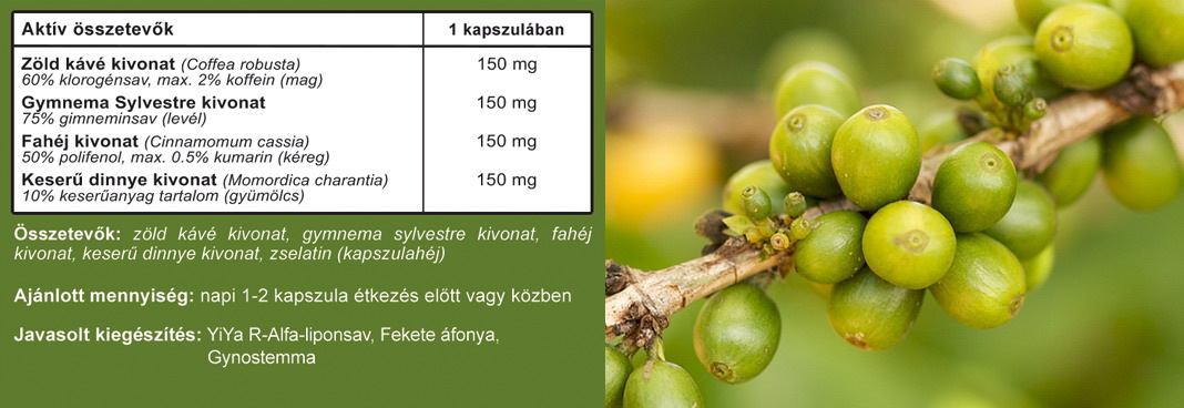 YiYa Zöld kávé gymnema sylvestre fahéj - az egészséges vércukorszintért kapszula összetétel