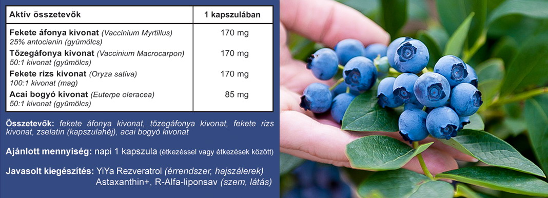 YiYa Fekete áfonya kivonat bogyós gyümölcsök kapszula tabletta összetétel