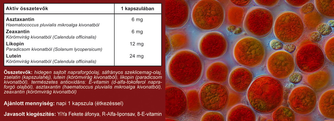 YiYa asztaxantin, zeaxanthin, lutein, likopin kapszula tabletta összetétel