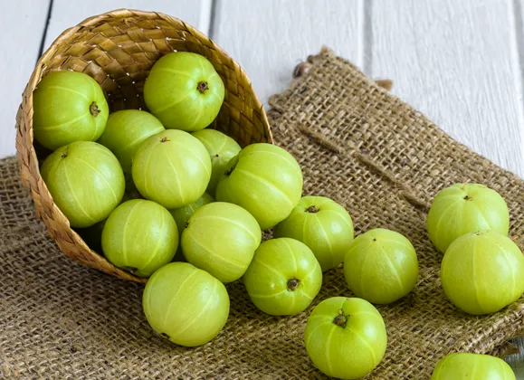 YiYa Indiai egres (Amla) kapszula összetétel
