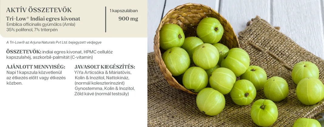 YiYa Indiai egres (Amla) kapszula kapszula tabletta összetétel
