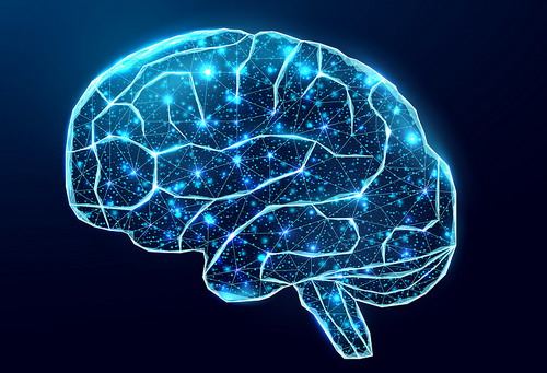 szerrapeptaz agy idegrendszer